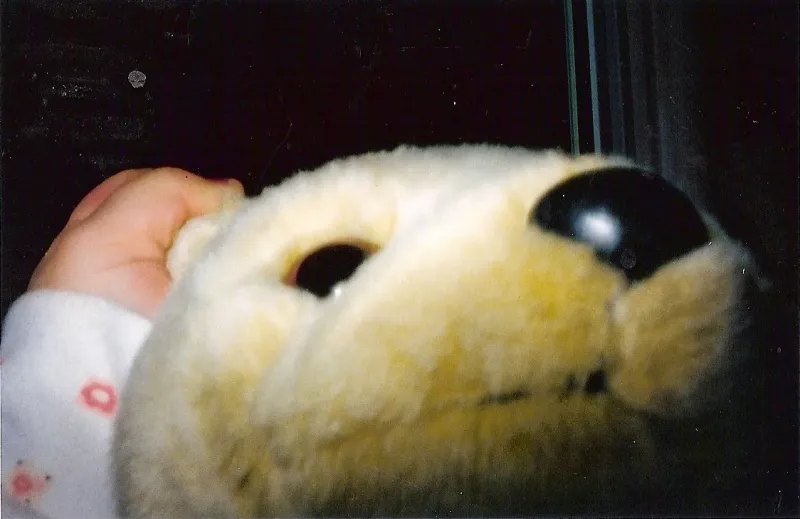 2010-09-19 Bearrr.jpg