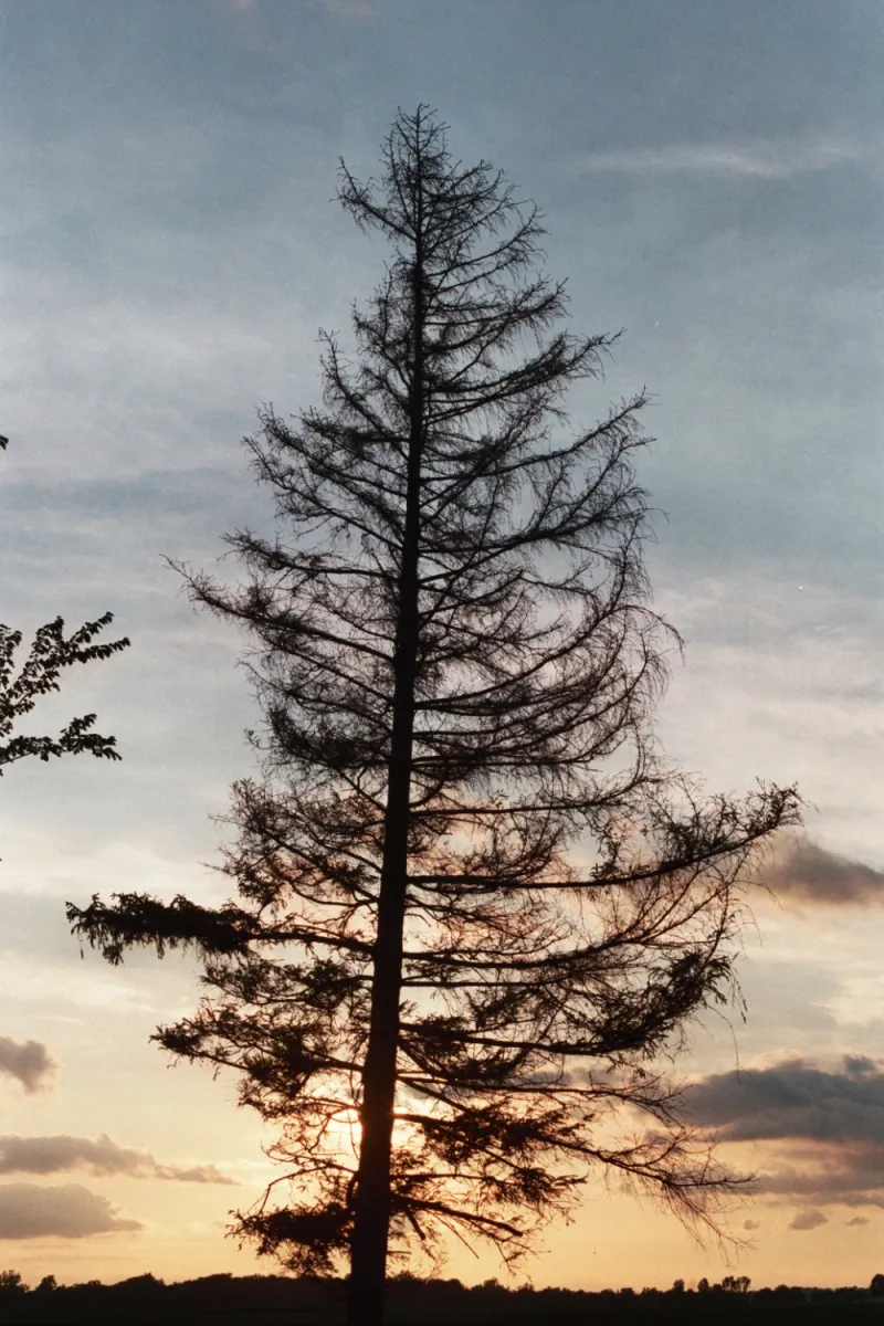 2011-08-05 004_21.JPG