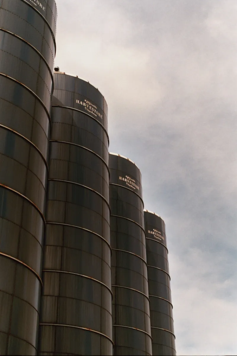 2011-08-05 018_7.JPG