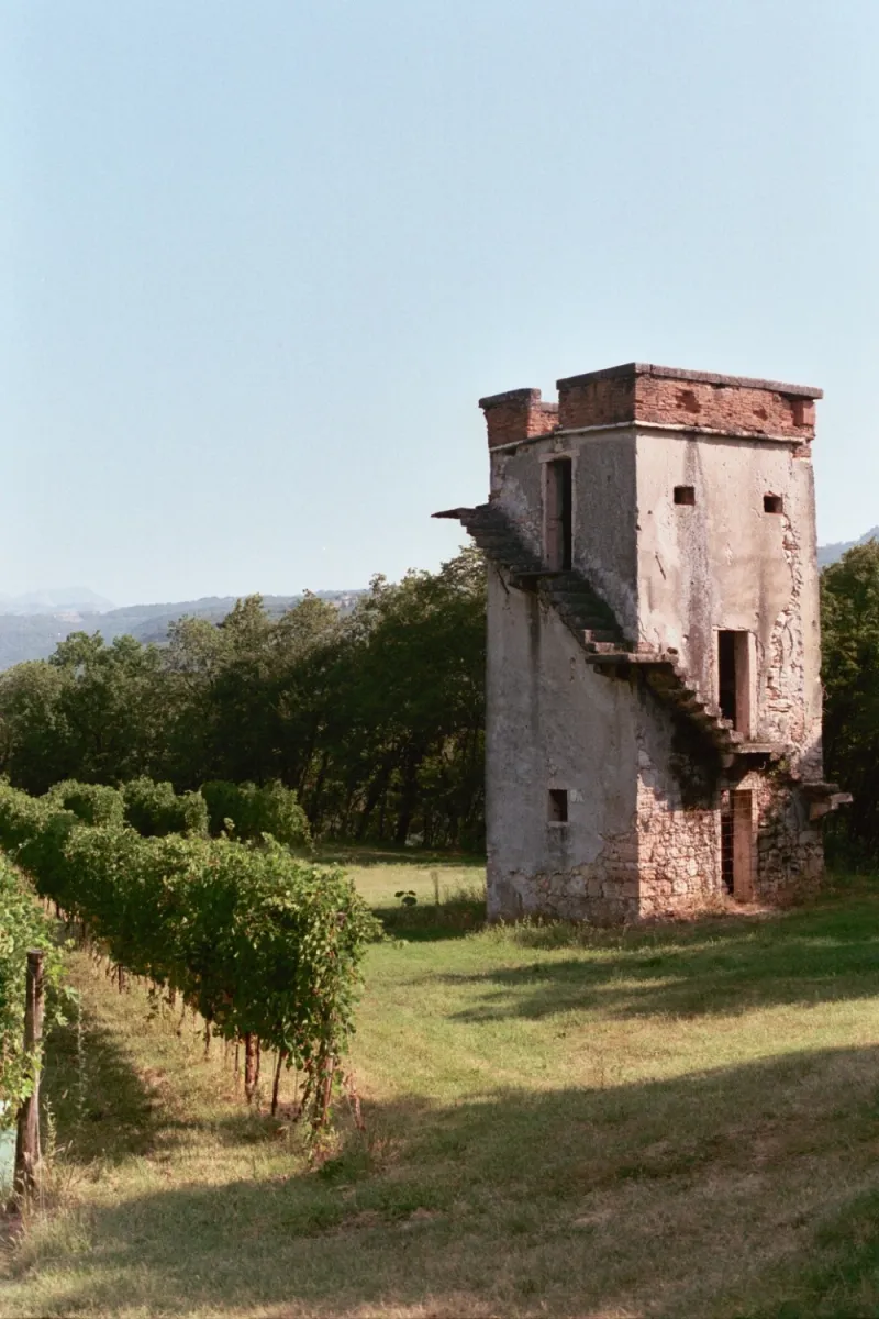 2011-11-08 017_6.JPG