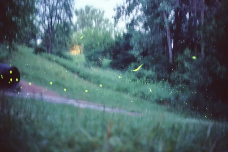 2012-09-09 008_17.JPG